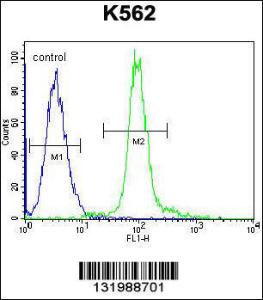 Anti-GLMN Rabbit Polyclonal Antibody (FITC (Fluorescein Isothiocyanate))