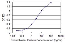 Anti-RNF111 Mouse Monoclonal Antibody [clone: 1C4]