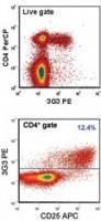 Anti-FOXP3 Mouse Monoclonal Antibody [clone: 3G3]