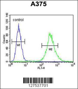 Anti-ZCCHC17 Rabbit Polyclonal Antibody (APC (Allophycocyanin))