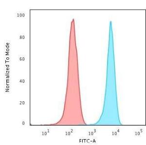 Anti-CD3 epsilon antibody