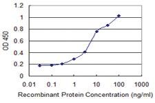 Anti-CDR2 Mouse Monoclonal Antibody [clone: 4D2]