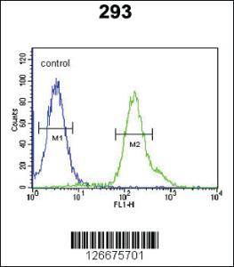 Anti-ARMC5 Rabbit Polyclonal Antibody