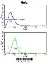 Anti-GPC1 Rabbit Polyclonal Antibody