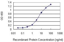 Anti-CDS1 Mouse Monoclonal Antibody [clone: 2D10]