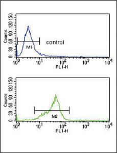 Anti-GNAO1 Rabbit Polyclonal Antibody (FITC (Fluorescein Isothiocyanate))