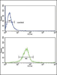 Anti-GSTM1 Rabbit Polyclonal Antibody (Biotin)