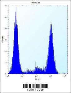 Anti-ZCRB1 Rabbit Polyclonal Antibody (PE (Phycoerythrin))