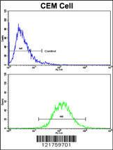 Anti-HA-1 Rabbit Polyclonal Antibody (FITC (Fluorescein))