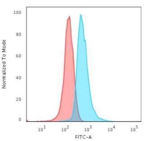 Anti-CD3 epsilon antibody