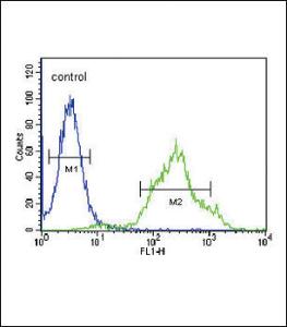 Anti-ZDHHC21 Rabbit Polyclonal Antibody