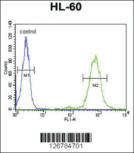 Anti-CD69 Rabbit Polyclonal Antibody