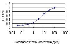 Anti-SPRY2 Mouse Monoclonal Antibody [clone: 1E10]