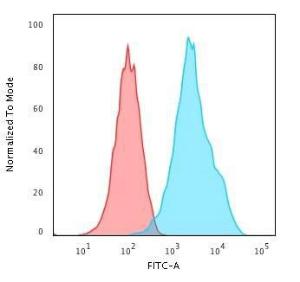 Flow cytometric analysis of Raji cells using Anti-CD20 Antibody [rIGEL/773] followed by Goat Anti-Mouse IgG (CF&#174; 488) (Blue). Isotype Control (Red)