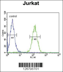 Anti-AXIN2 Rabbit Polyclonal Antibody