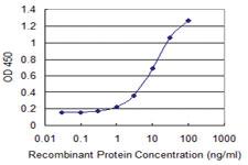 Anti-CDX1 Mouse Monoclonal Antibody [clone: 3A3]