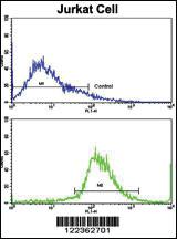 Anti-CECR5 Rabbit Polyclonal Antibody