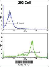 Anti-ATP5O Rabbit Polyclonal Antibody