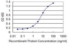 Anti-CDX1 Mouse Monoclonal Antibody [clone: 2E2]