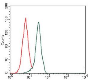 Anti-FN1 Mouse Monoclonal Antibody [clone: 13B313]