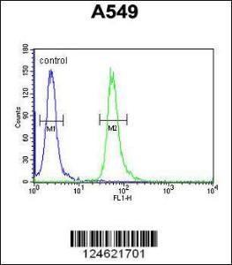 Anti-GNAT3 Rabbit Polyclonal Antibody