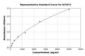 Representative standard curve for Mouse LAMP1 ELISA kit (A75571)