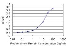 Anti-TRH Polyclonal Antibody Pair