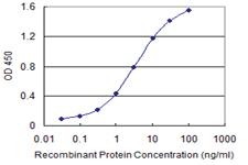 Anti-ABCC4 Mouse Monoclonal Antibody [clone: 1B2]