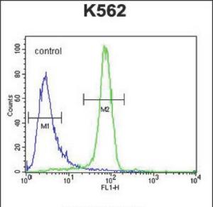 Anti-EGFR Rabbit Polyclonal Antibody (APC (Allophycocyanin))