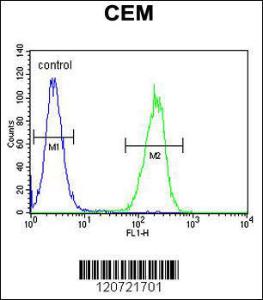 Anti-ZMYND10 Rabbit Polyclonal Antibody