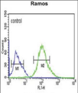 Anti-FCRL4 Rabbit Polyclonal Antibody (PE (Phycoerythrin))