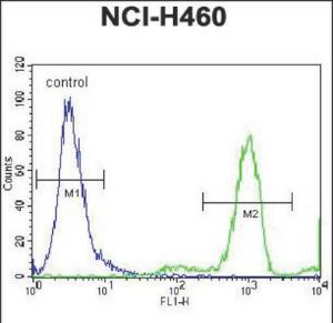 Anti-FGL2 Rabbit Polyclonal Antibody