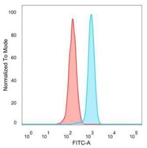 Anti-ZBED1 antibody