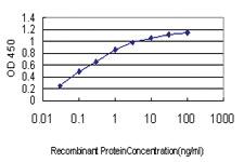 Anti-CDX4 Mouse Monoclonal Antibody [clone: 2E11]