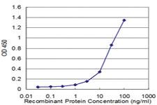 Anti-STX4 Mouse Monoclonal Antibody [clone: 6A1]