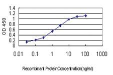 Anti-CDX4 Mouse Monoclonal Antibody [clone: 2G12]