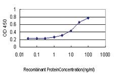 Anti-IGSF6 Mouse Monoclonal Antibody [clone: 2A12]