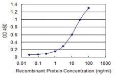 Anti-IGSF6 Mouse Monoclonal Antibody [clone: 1A10]