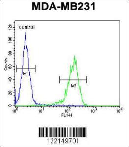 Anti-14-3-3 delta/zeta Rabbit Polyclonal Antibody (Biotin)