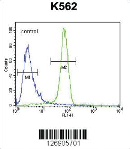 Anti-EGFR Rabbit Polyclonal Antibody