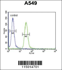 Anti-BUB1A Rabbit Polyclonal Antibody