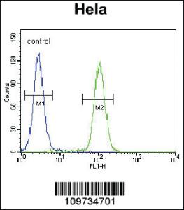 Anti-SIK3 Rabbit Polyclonal Antibody