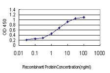 Anti-CDX4 Mouse Monoclonal Antibody [clone: 3H8]