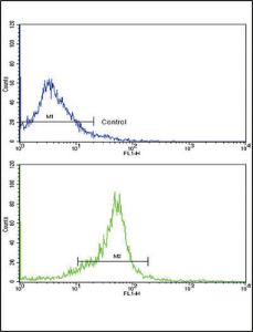 Anti-WNT5B Rabbit Polyclonal Antibody