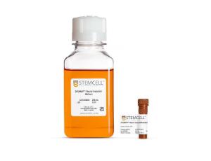 STEMdiff™ Neural Crest Differentiation kit