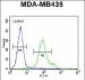 Anti-NPHS1 Rabbit Polyclonal Antibody (Biotin)