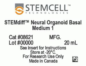 STEMdiff™ Dorsal Forebrain Organoid Differentiation kit