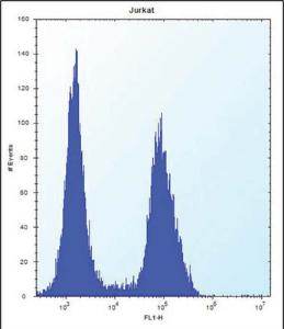 Anti-TMPRSS15 Rabbit Polyclonal Antibody