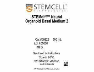 STEMdiff™ Dorsal Forebrain Organoid Differentiation kit