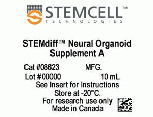 STEMdiff™ Dorsal Forebrain Organoid Differentiation kit